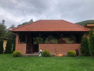 Фото Гостевой дом Casa Antonia г. Chişcău 4