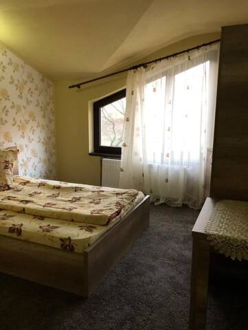 Фото номера Двухместный номер с 1 кроватью Хостелы Hostel Mirela г. Chişcău 8